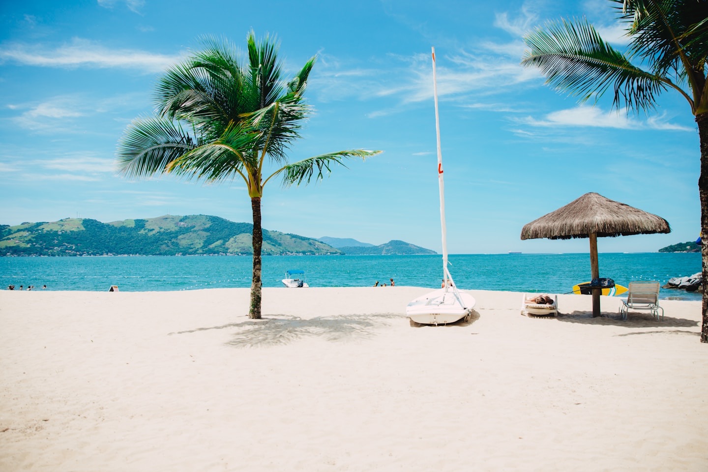Mediterranean coast with palm trees